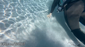 aqualungs50.com - POV Dive Buddy 18 Sunni Ray thumbnail